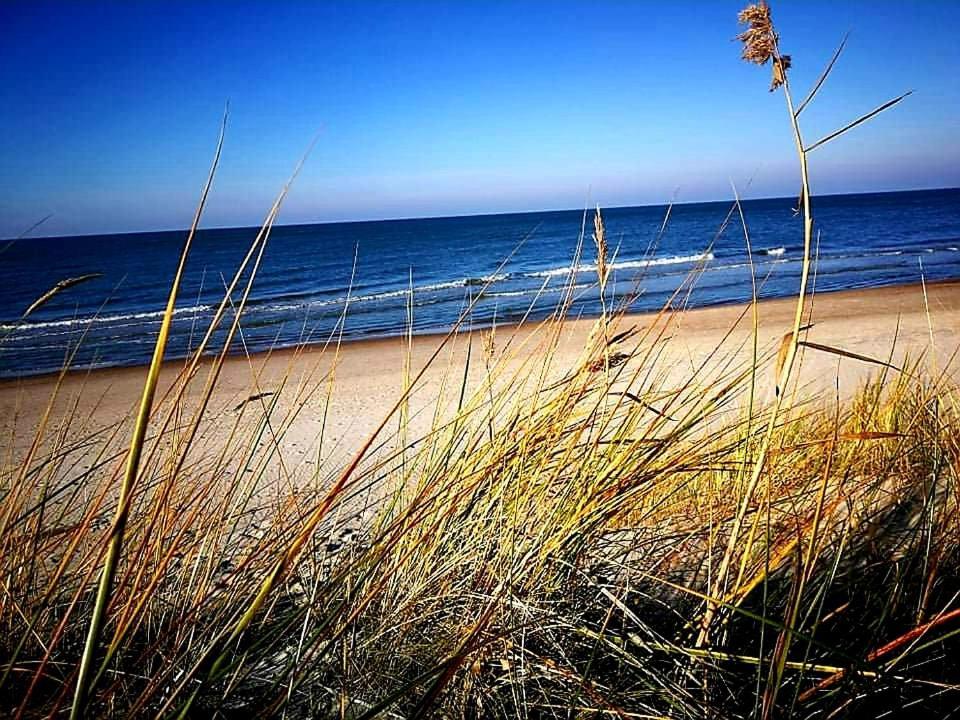 Dianos Apartamentai * Palanga